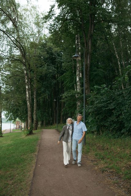 Stromová aleja vedúca k domovu, popoludňajšie svetlo medzi konármi