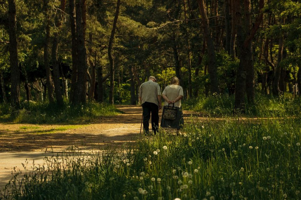 Dvojica seniorov kráča po chodníku medzi púpavami